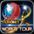 Top Cricket World Tour