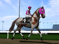 Photo Finish Horse Racing for PC
