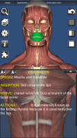 3D Bones and Organs (Anatomy) for PC