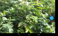 HD Camera for Android for PC