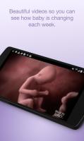Pregnancy Tracker for PC