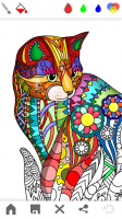 Mandala - adults coloring book for PC