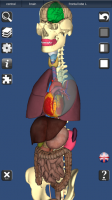 3D Bones and Organs (Anatomy) for PC