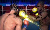 Punch Boxing 3D APK