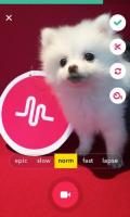 musical.ly lite for PC