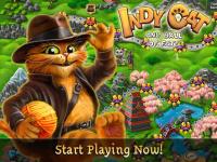 Indy Cat for VK for PC