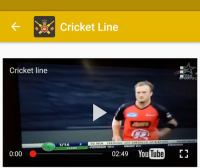 Cricket Live Line for PC