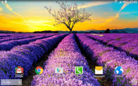 Spring Nature Live Wallpaper for PC