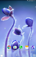 Spring Flowers Live Wallpaper for PC