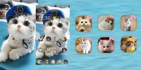 Cat theme-Cute,Adorable,Lazy for PC