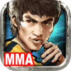 Kung-Fu-All-Star: MMA Fight